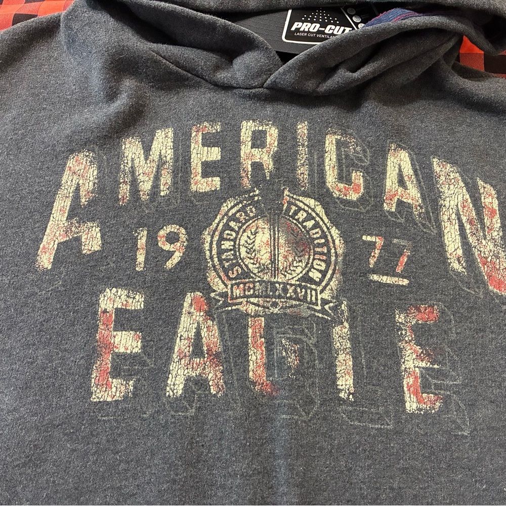 American Eagle Outfitters Charcoal Fleece Hoodie